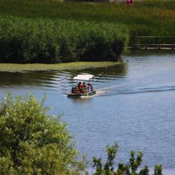 Lake Tisza